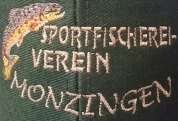 sfv-monzingen.de
